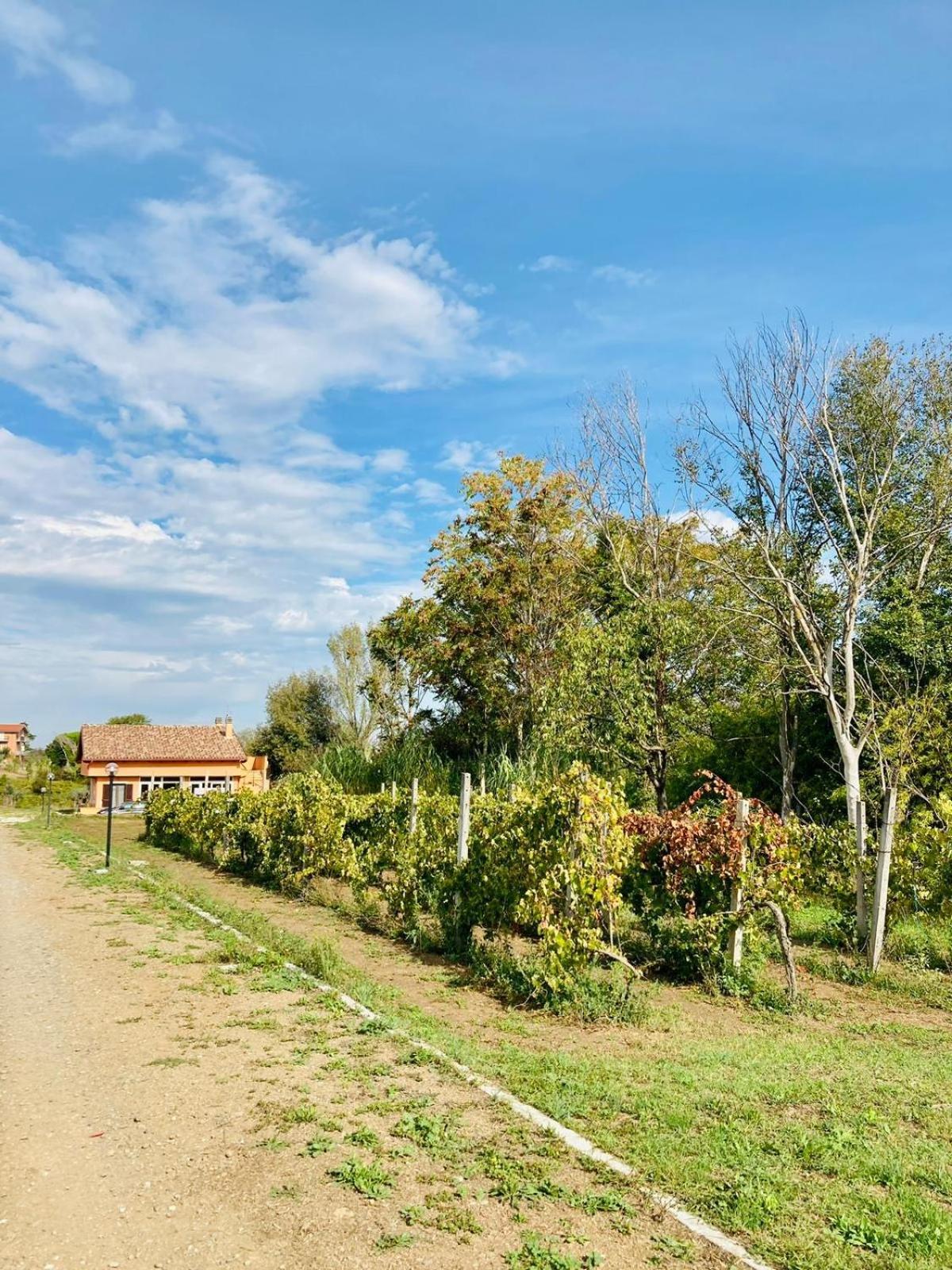 Villa Bubu, Appartamento Country-Chic Rome Exterior photo