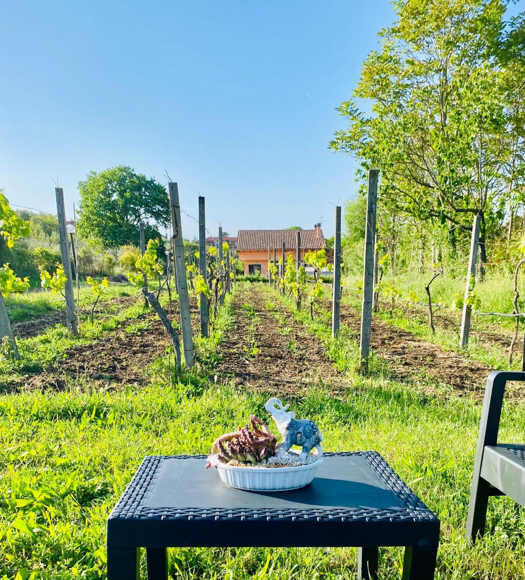 Villa Bubu, Appartamento Country-Chic Rome Exterior photo